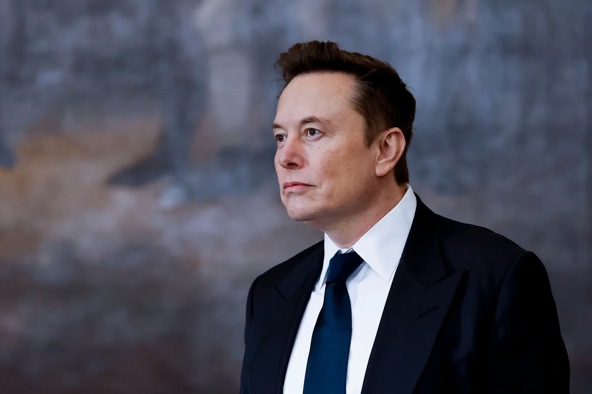 Musk's DOGE