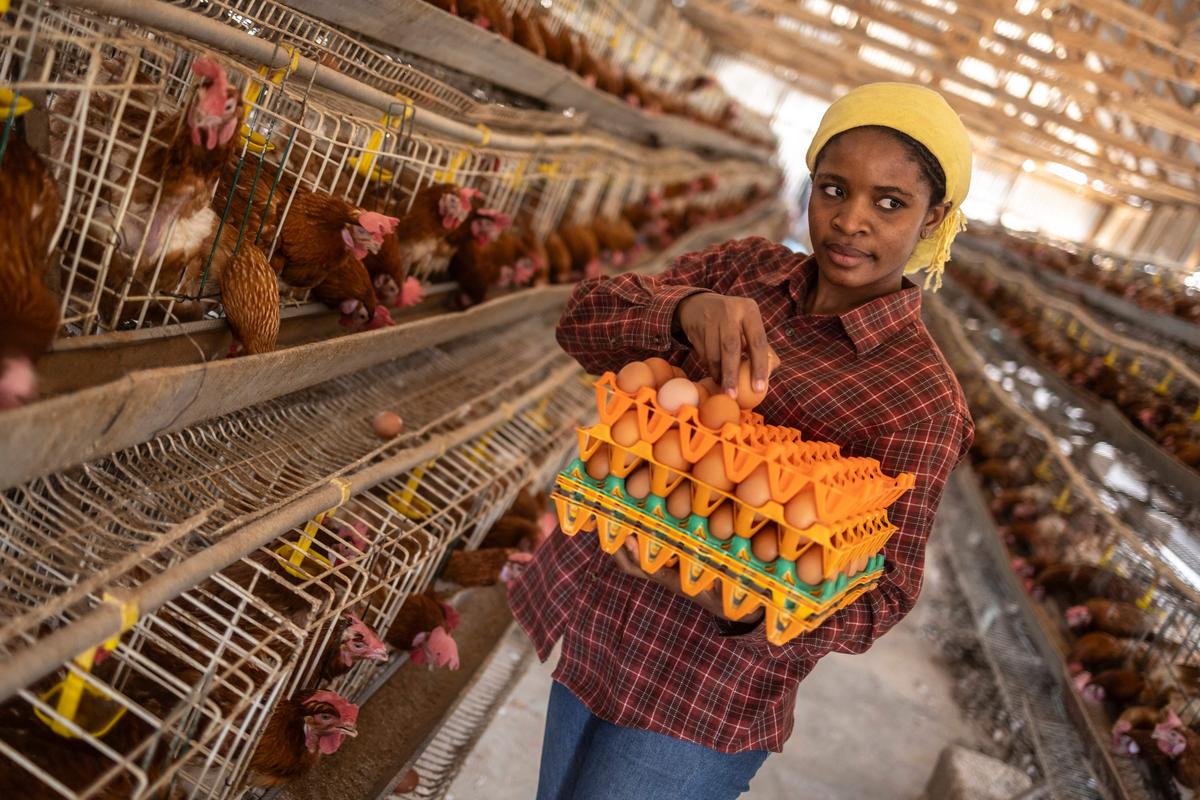 Tech In Farmers: How AI is Transforming Farming in Nigeria