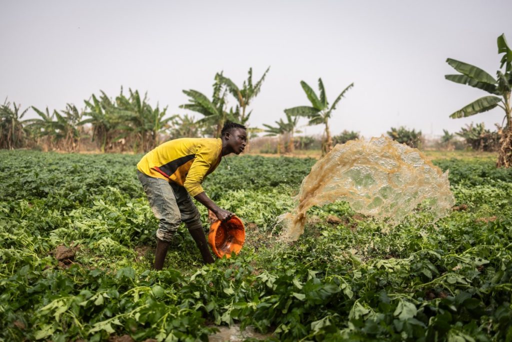 AFP 20250317 372F62F v3 Preview NigeriaAgricultureAgronomy 1024x683 2