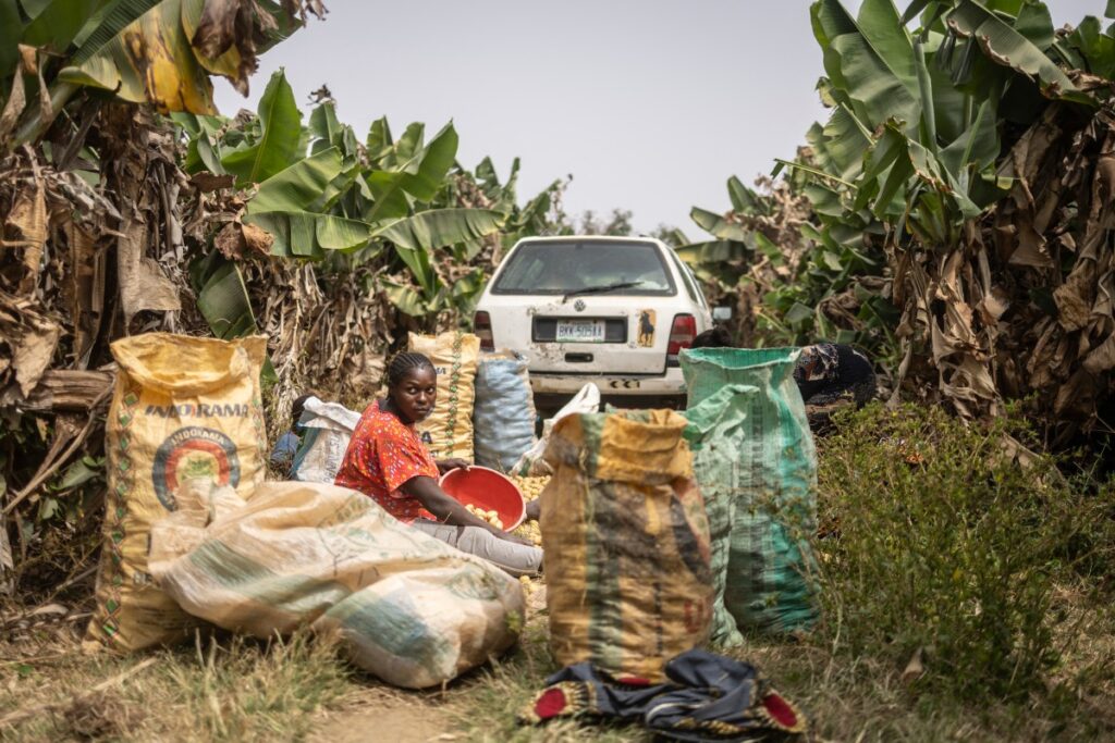 AFP 20250317 372F63P v2 Preview TopshotNigeriaAgricultureAgronomy 1