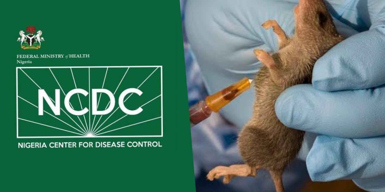 NCDC Confirms Lassa Fever Case After UK Returnee Dies From The Virus