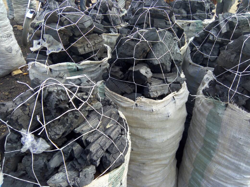 Nigeria Risks EU Ban on Wood and Charcoal Exports, Expert Warns