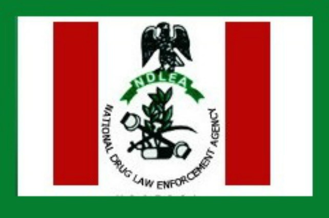 NDLEA arrest drug baraon