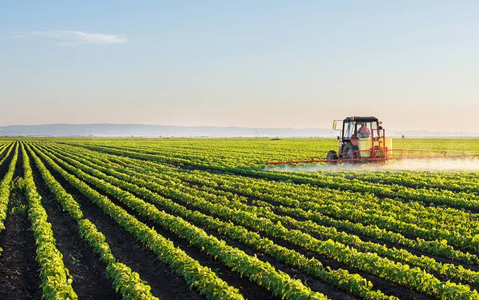 10 African countries with  largest agricultural land area
