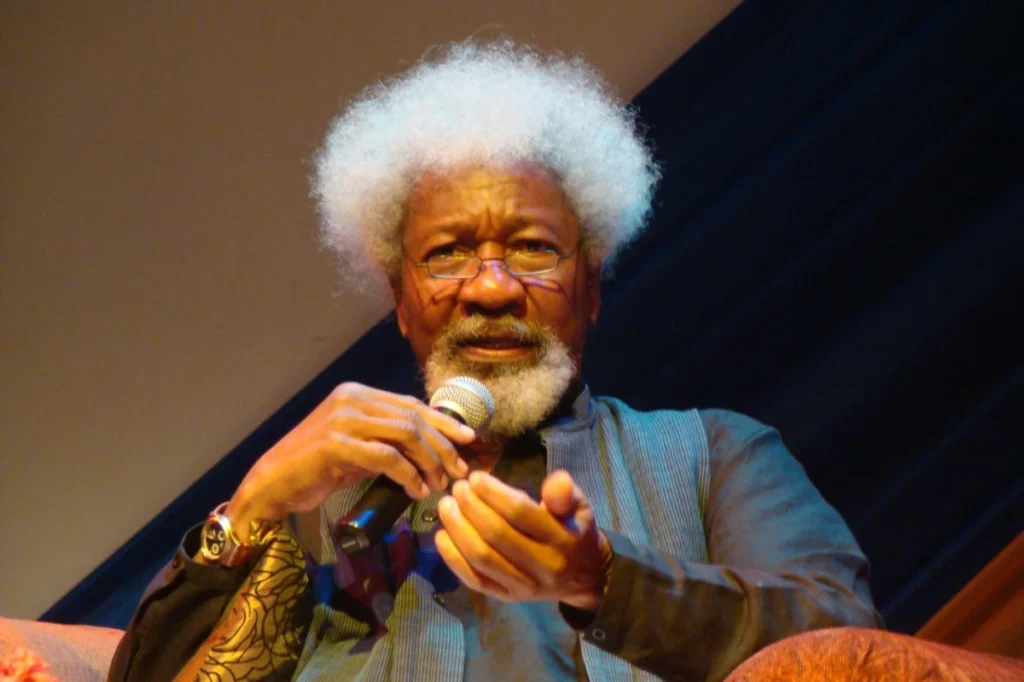 Wole Soyinka Condemns Tinubu’s State of Emergency in Rivers