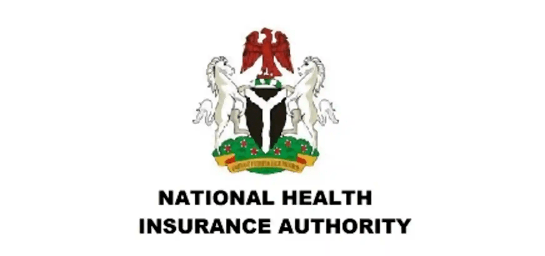 NHIA Orders HMOs to Approve Patient Treatment Within One Hour