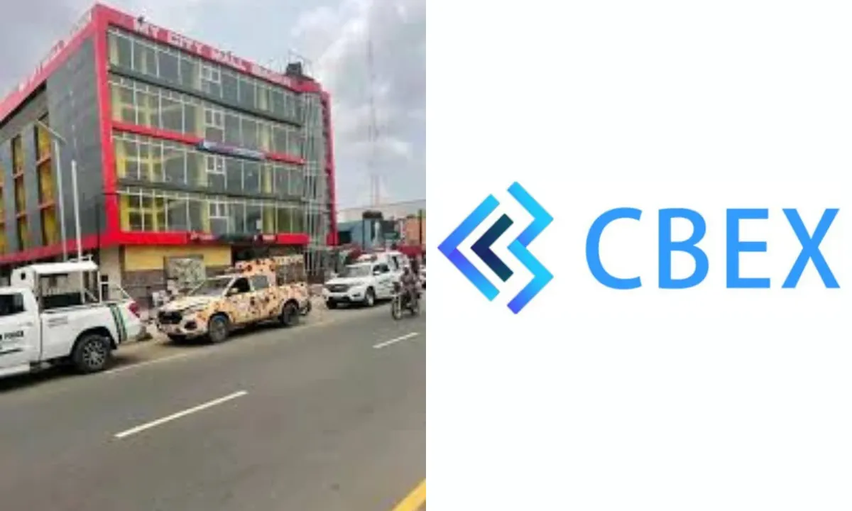 How CBEX Duped Nigerians of ₦1.3trn Through Fake AI Profits and Smart Branding