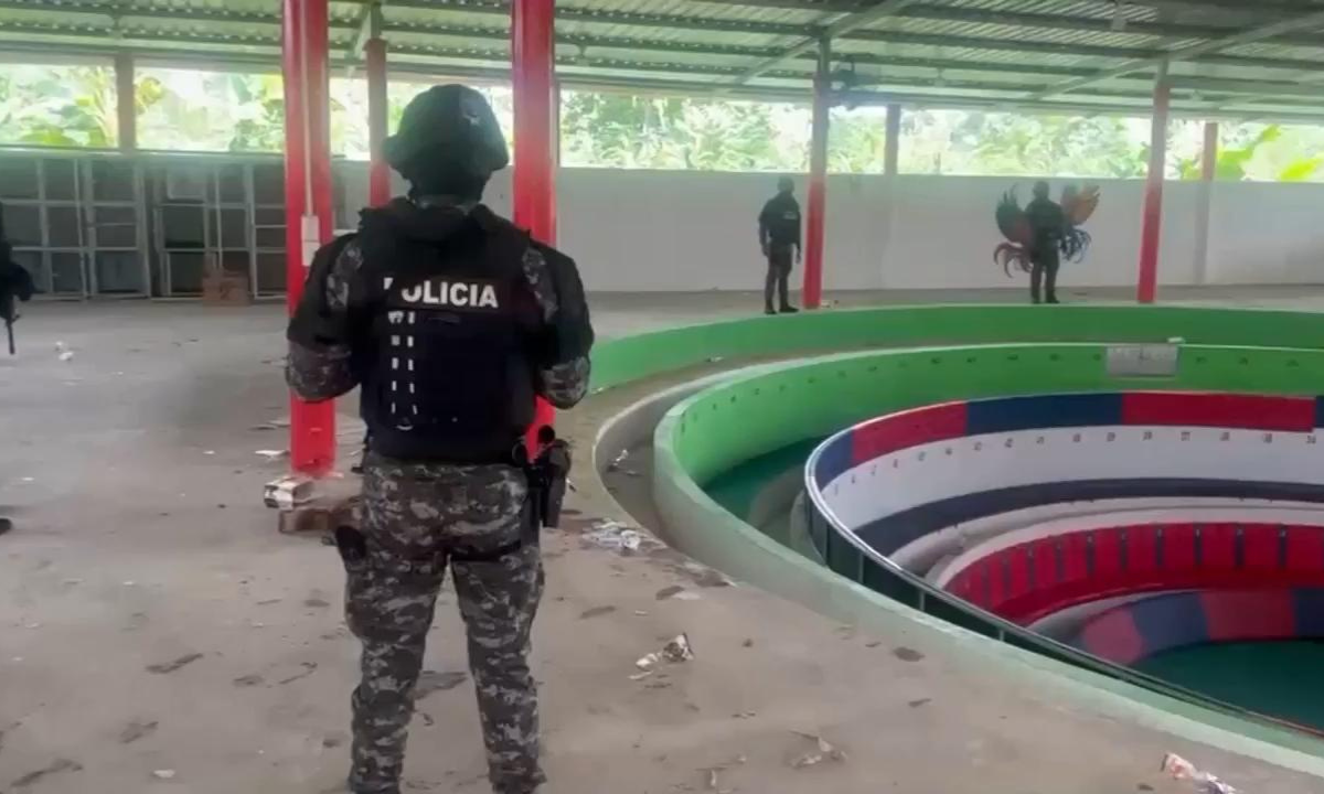 Ecuador Cockfight Massacre Leaves 12 Dead Amid Escalating Gang Violence