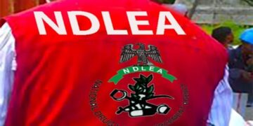 Lagos Hotel Exposed as Drug Hub in Massive NDLEA Crackdown ndlea
