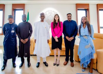 Nigeria, Google Advance AI Partnership to Drive Digital Economy