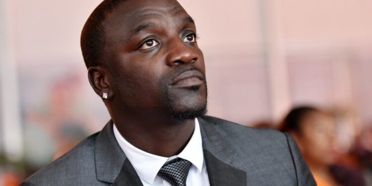 Akon Explains Why Elon Musk Advocates for White South Africans