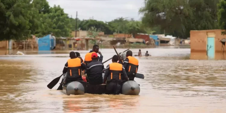 Niger Floods
