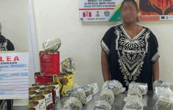 NDLEA Seizes Drugs Worth ₦3.4bn in Lagos and Rivers