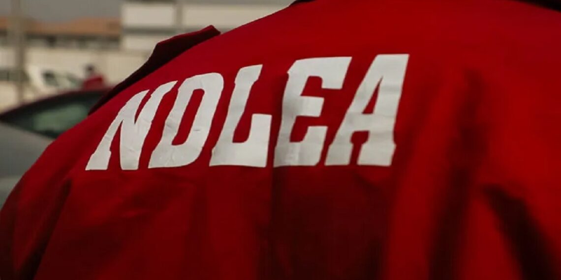 Photo of NDLEA official