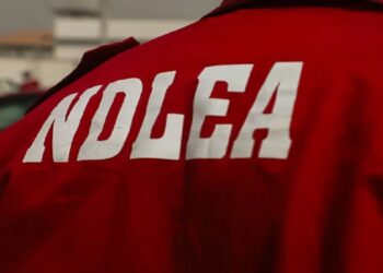 Photo of NDLEA official