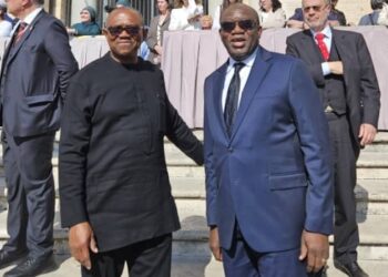 Photo of Peter Obi and Fayemi