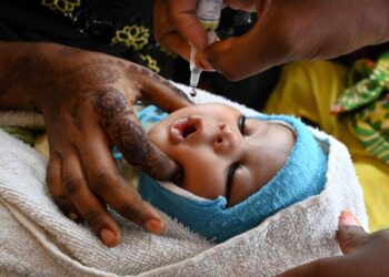 FCTA Launches Massive Immunization Drive to Combat Polio Across Area Councils