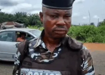 Photo of a Nigerian Police officer