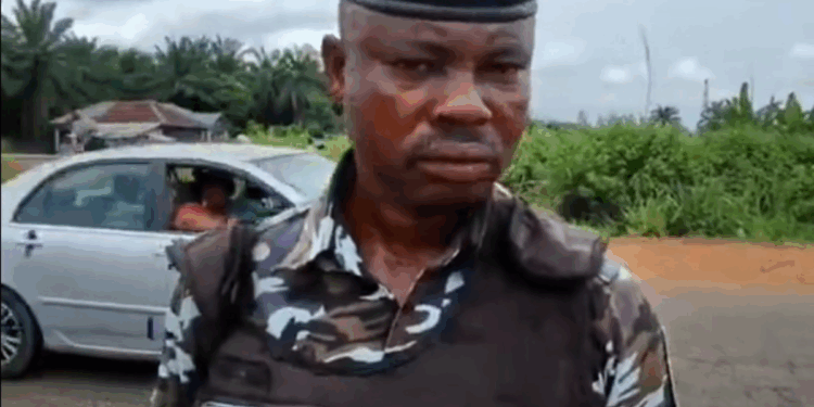 Photo of a Nigerian Police officer