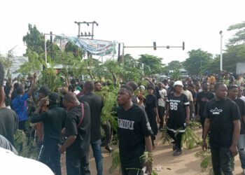 Benue IDPs Protest