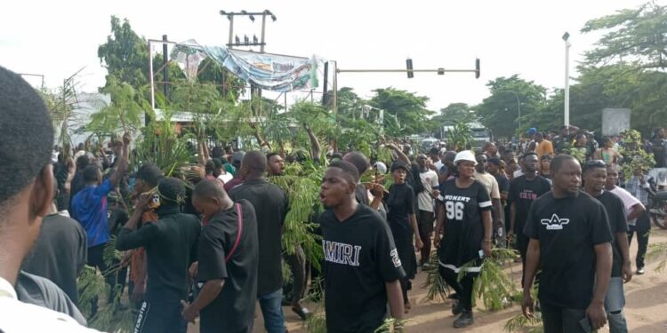 Benue IDPs Protest