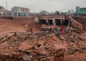 Niger flood condition