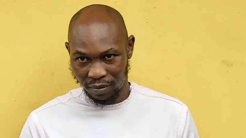 Seun Kuti Slams INEC, Labels Nigerian Politicians ‘Religious Nutjobs