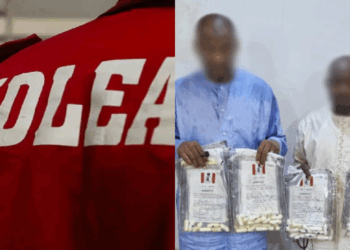 NDLEA Arrest