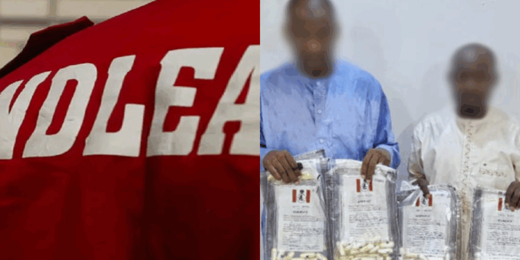 NDLEA Arrest