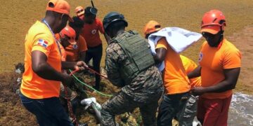 Four Dead, Dozens Missing as Migrant Boat Capsizes Off Dominican Republic Dominican Republic