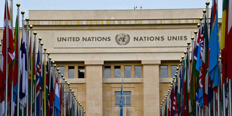The United Nations