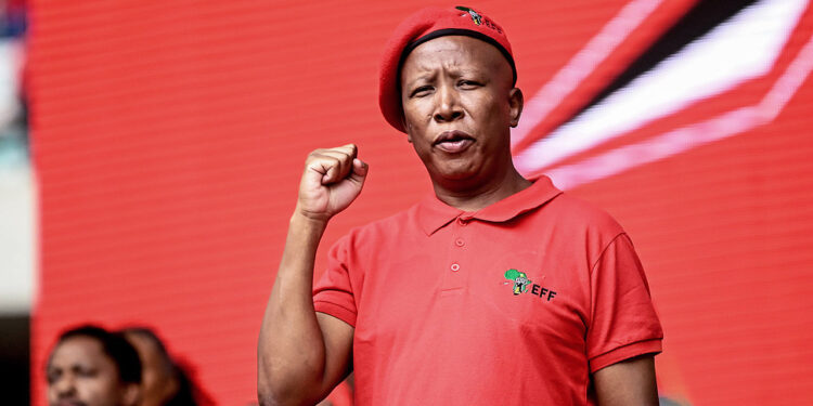 Photo of Julius Malema