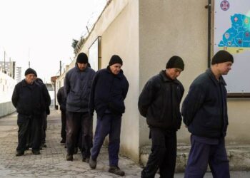 Russia and Ukraine Prisoner Swap