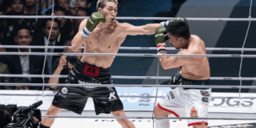 Two Japanese Boxers