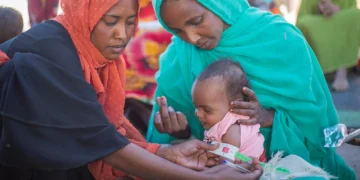 Malnutrition Crisis in El-Fasher