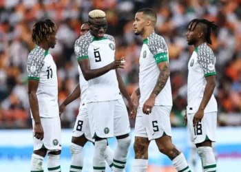 Boniface Left Out as Chelle Names Final Super Eagles Squad for World Cup Qualifiers