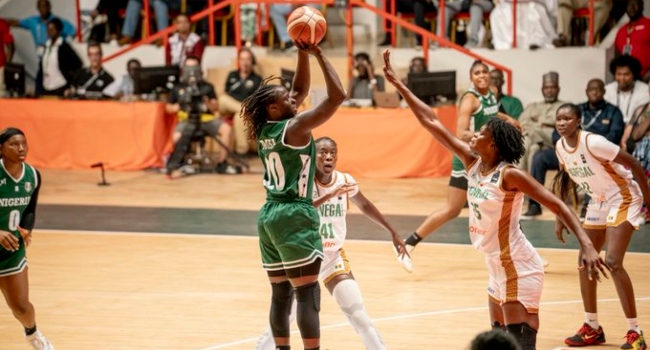 D’Tigress player
