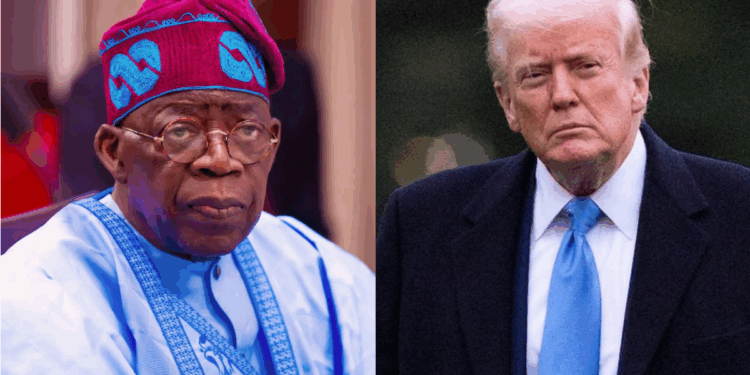 Photo combo of Tinubu and Trump