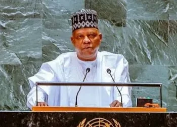 Photo of Kashim Shettima