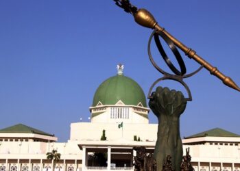 The National Assembly