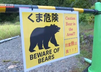 Japan’s Shirakawa-go Village