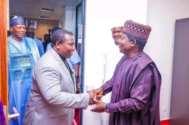 Amupitan at the Senate