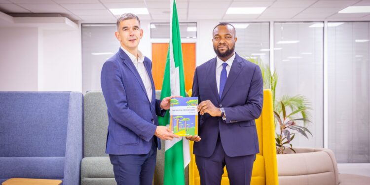 Google AI skills training for Nigerian public servants.