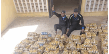 Troops Arrest Fake Policemen Smuggling Cannabis in Taraba, Recover 1,134 Blocks Troops Arrest Fake Policemen