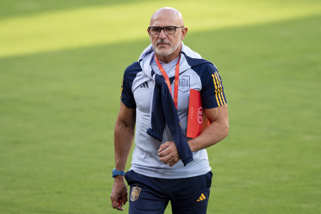 Spain coach Luis de la Fuente