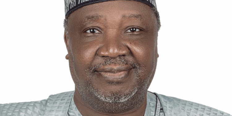 Professor Farouk Haruna