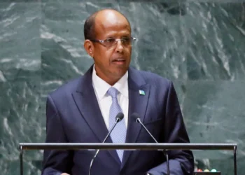 Mahamoud Ali Youssouf, chair of the African Union Commission