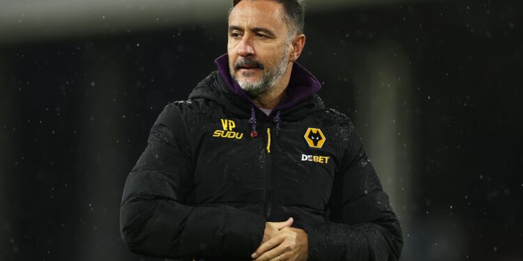 Photo of Vitor Pereira
