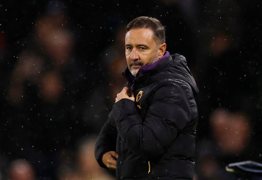 Photo of Vitor Pereira