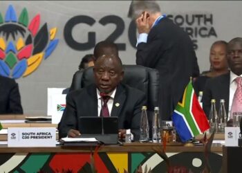 G20 Summit in South Africa